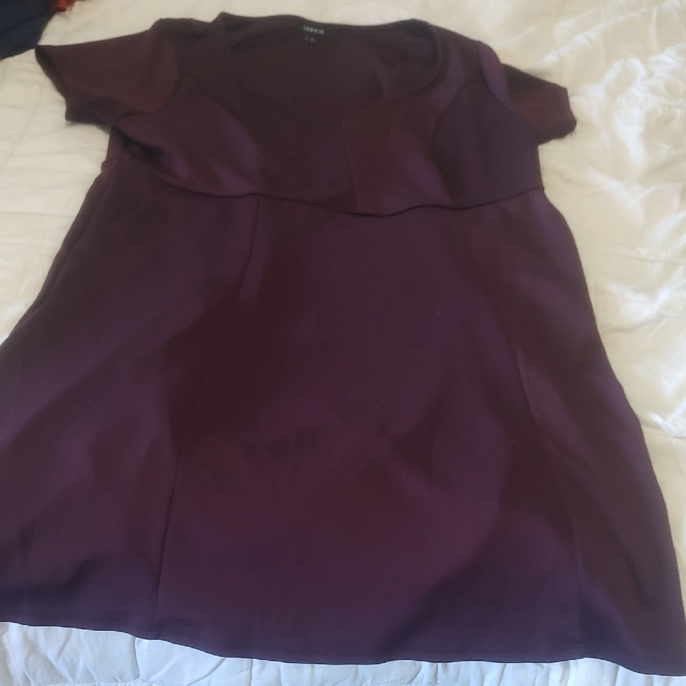 Torrid Deep Purple Dress